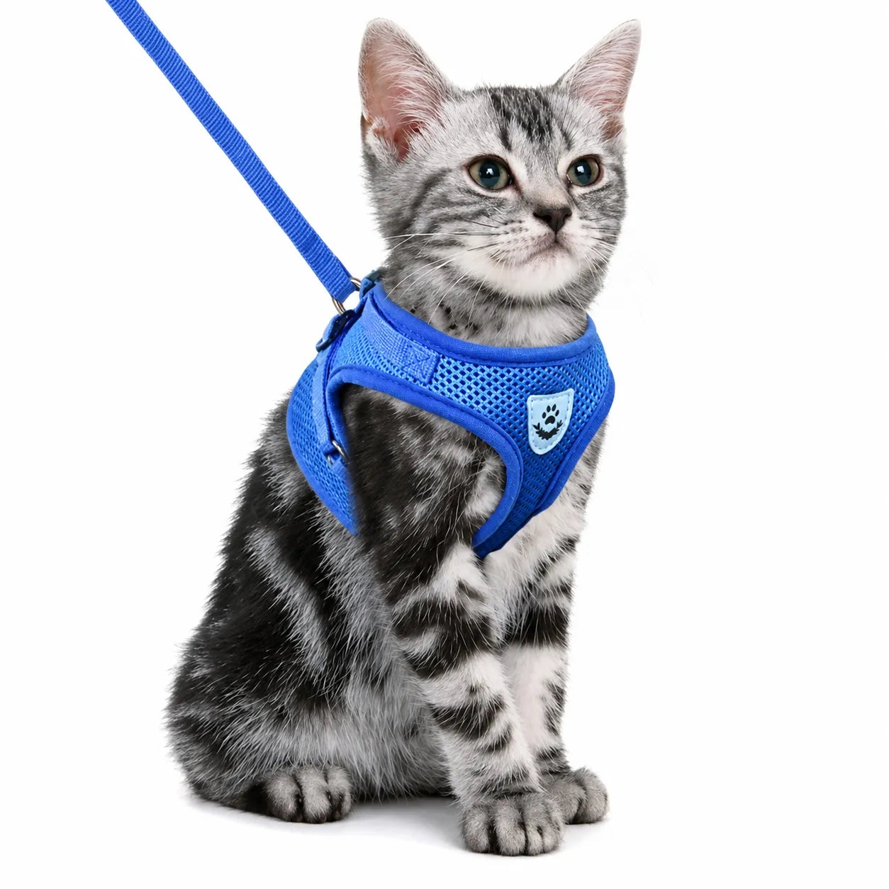 Harnais chat maille respirante réglable - Réfléchissant S à XL