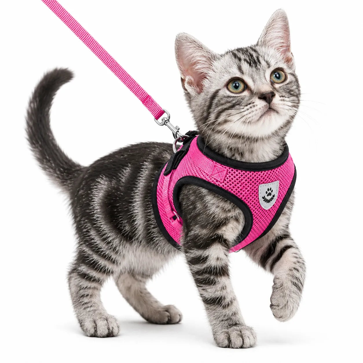 Harnais chat maille respirante réglable - Réfléchissant S à XL