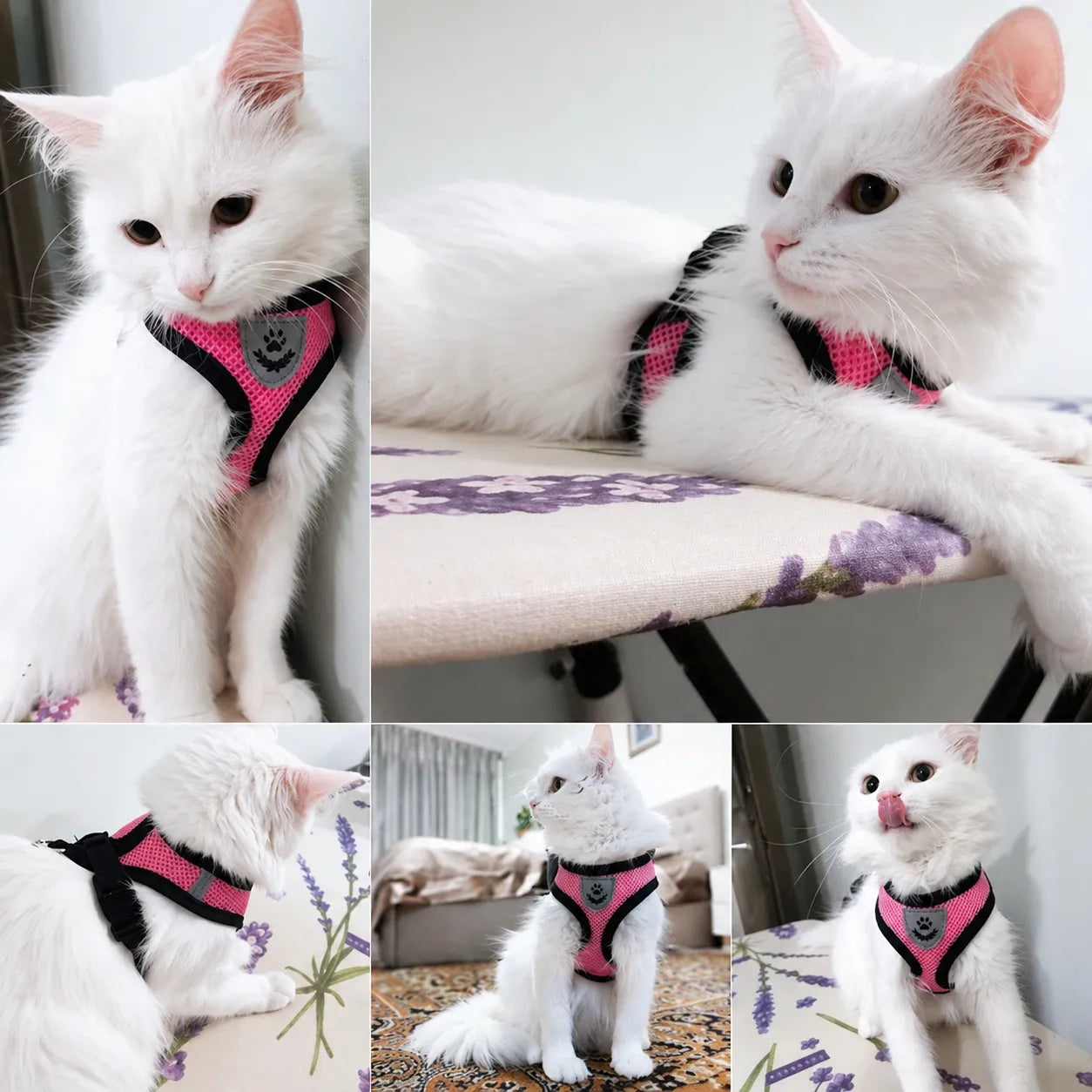 Harnais chat maille respirante réglable - Réfléchissant S à XL