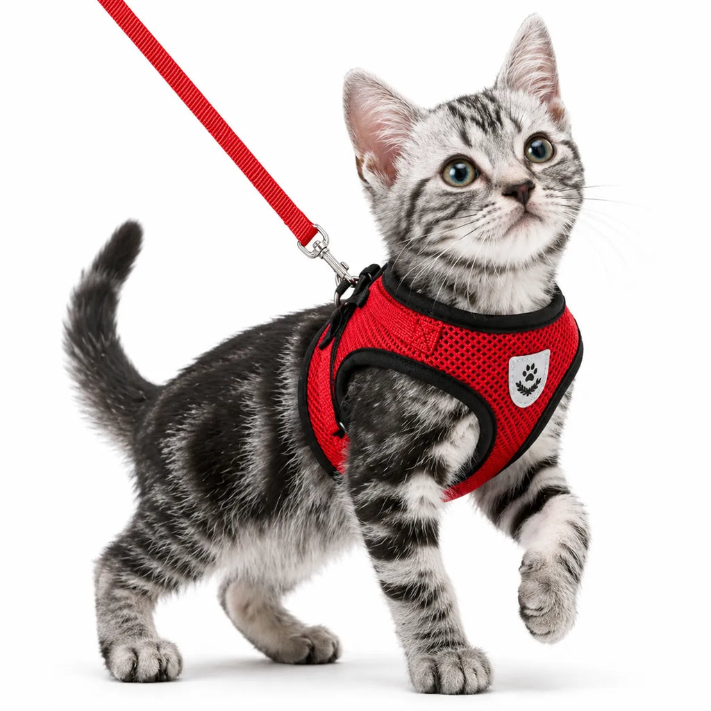 Harnais chat maille respirante réglable - Réfléchissant S à XL