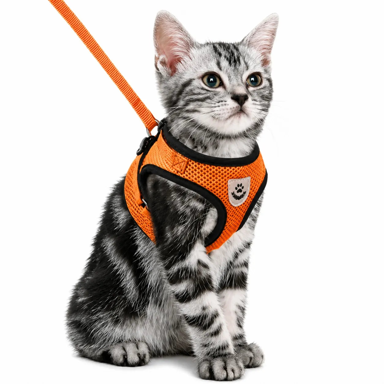 Harnais chat maille respirante réglable - Réfléchissant S à XL