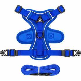 Bleu