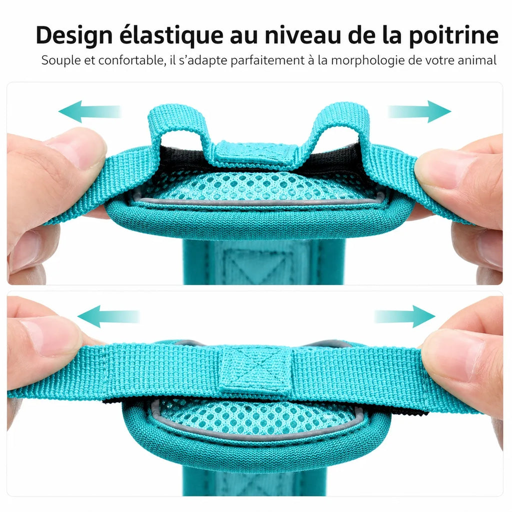 Harnais chat maille respirante réglable - Réfléchissant S à XL