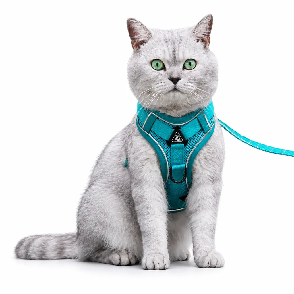 Harnais chat maille respirante réglable - Réfléchissant S à XL