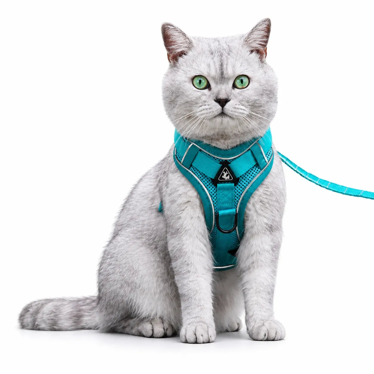 Harnais chat maille respirante réglable - Réfléchissant S à XL