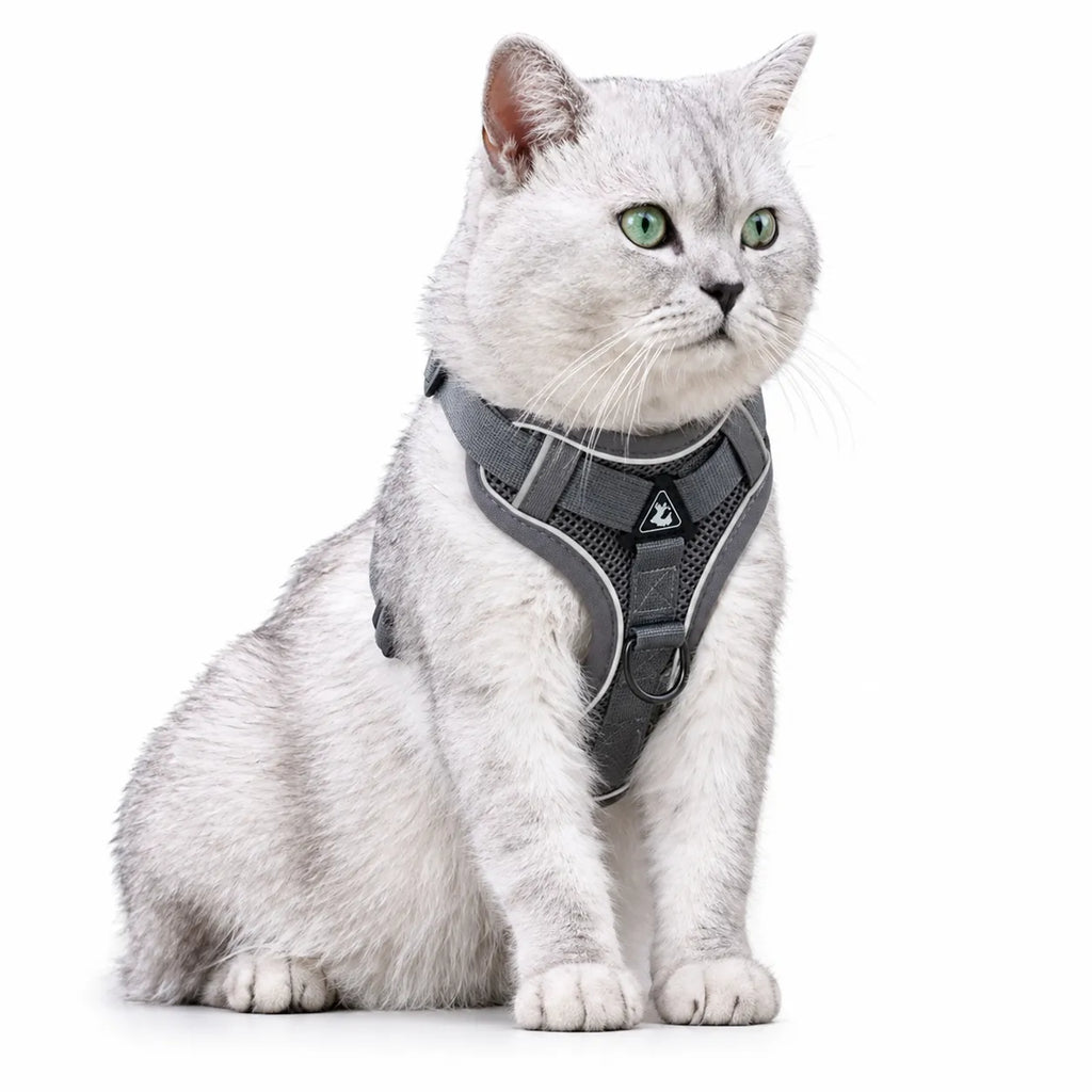 Harnais chat maille respirante réglable - Réfléchissant S à XL