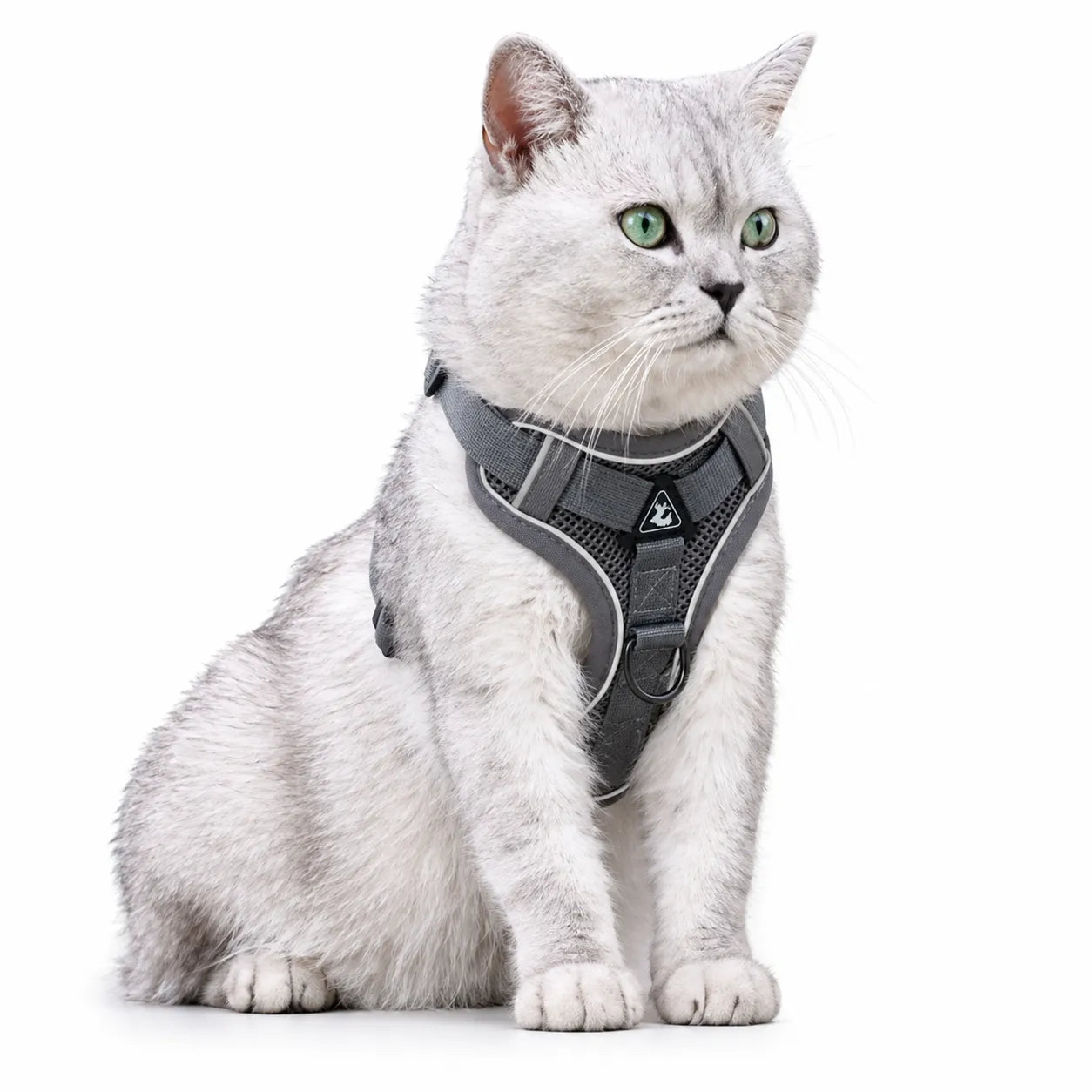 Harnais chat maille respirante réglable - Réfléchissant S à XL