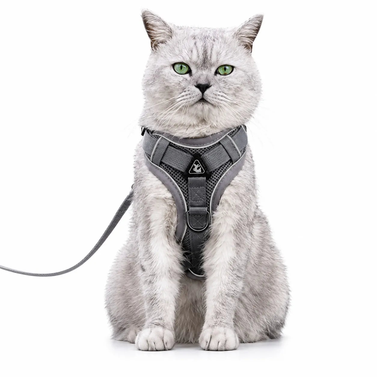 Harnais chat maille respirante réglable - Réfléchissant S à XL