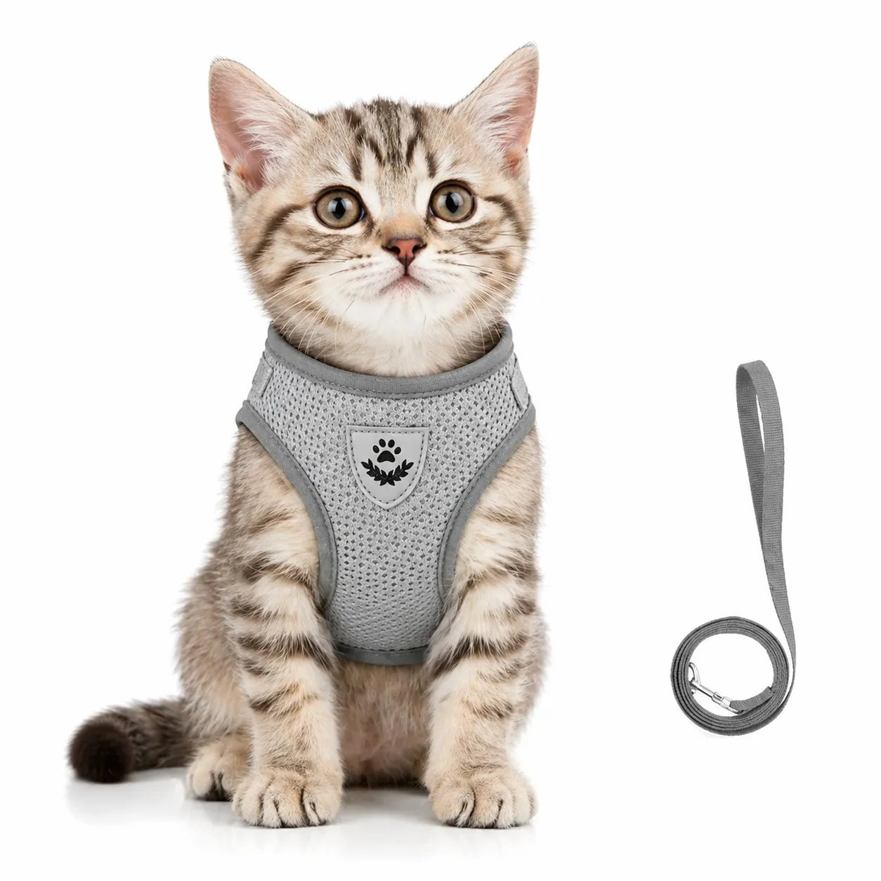 Harnais chat maille respirante - Réglable réfléchissant XS à XL