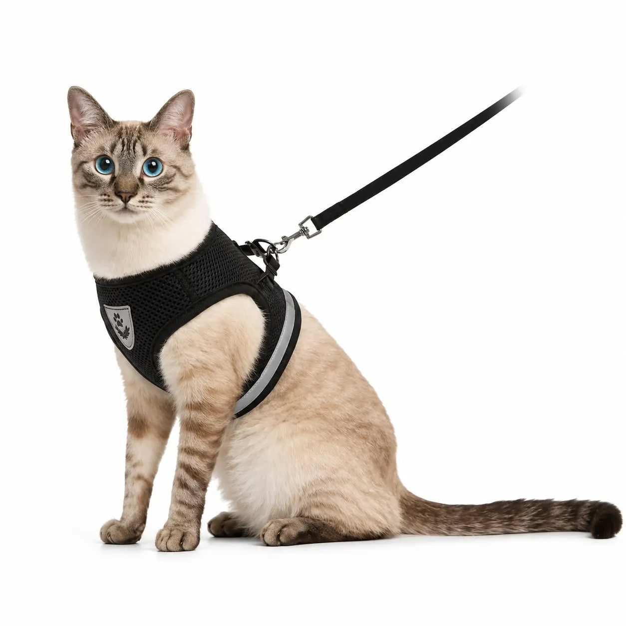 Harnais chat maille respirante - Réglable réfléchissant XS à XL
