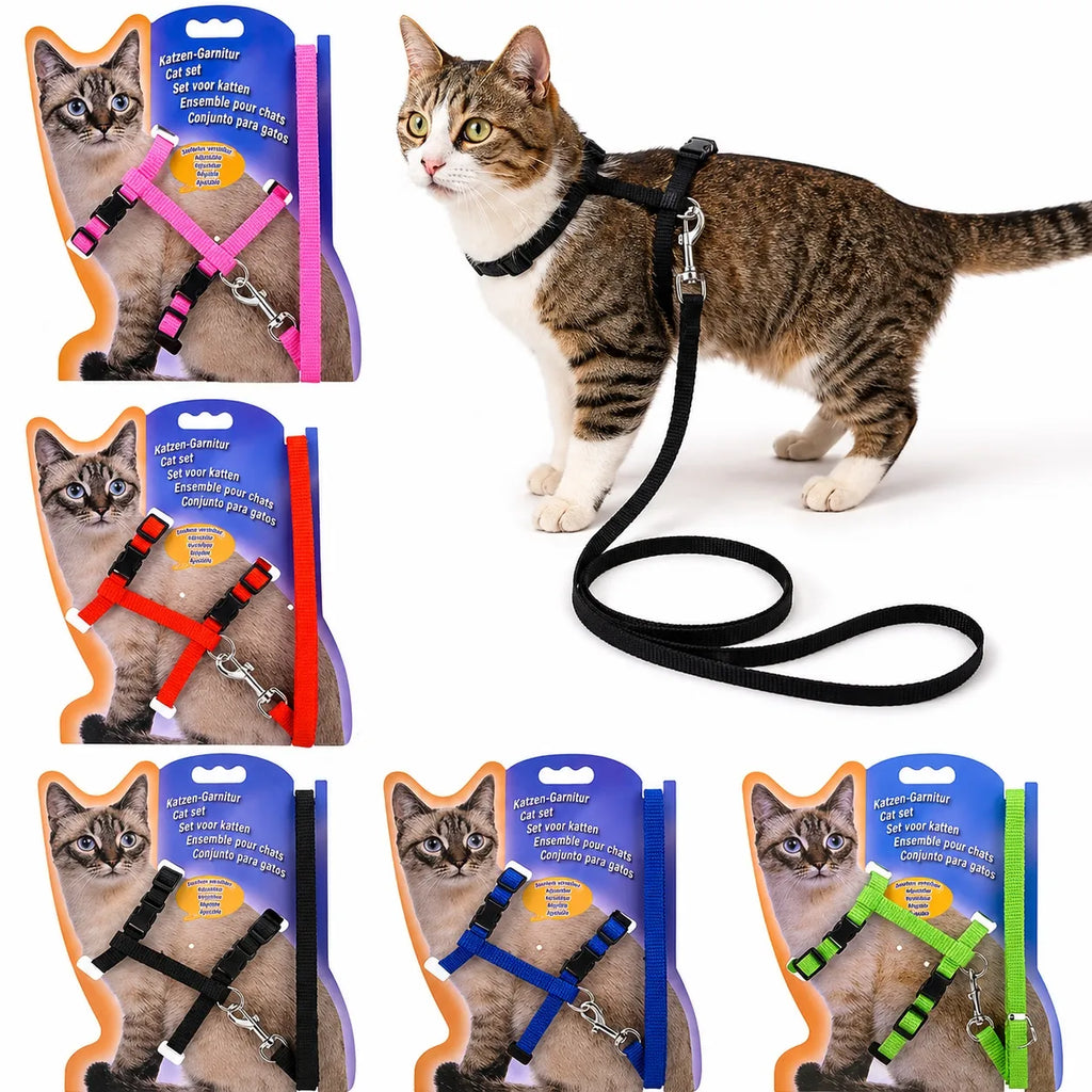Harnais chat nylon réglable - Ensemble laisse confortable