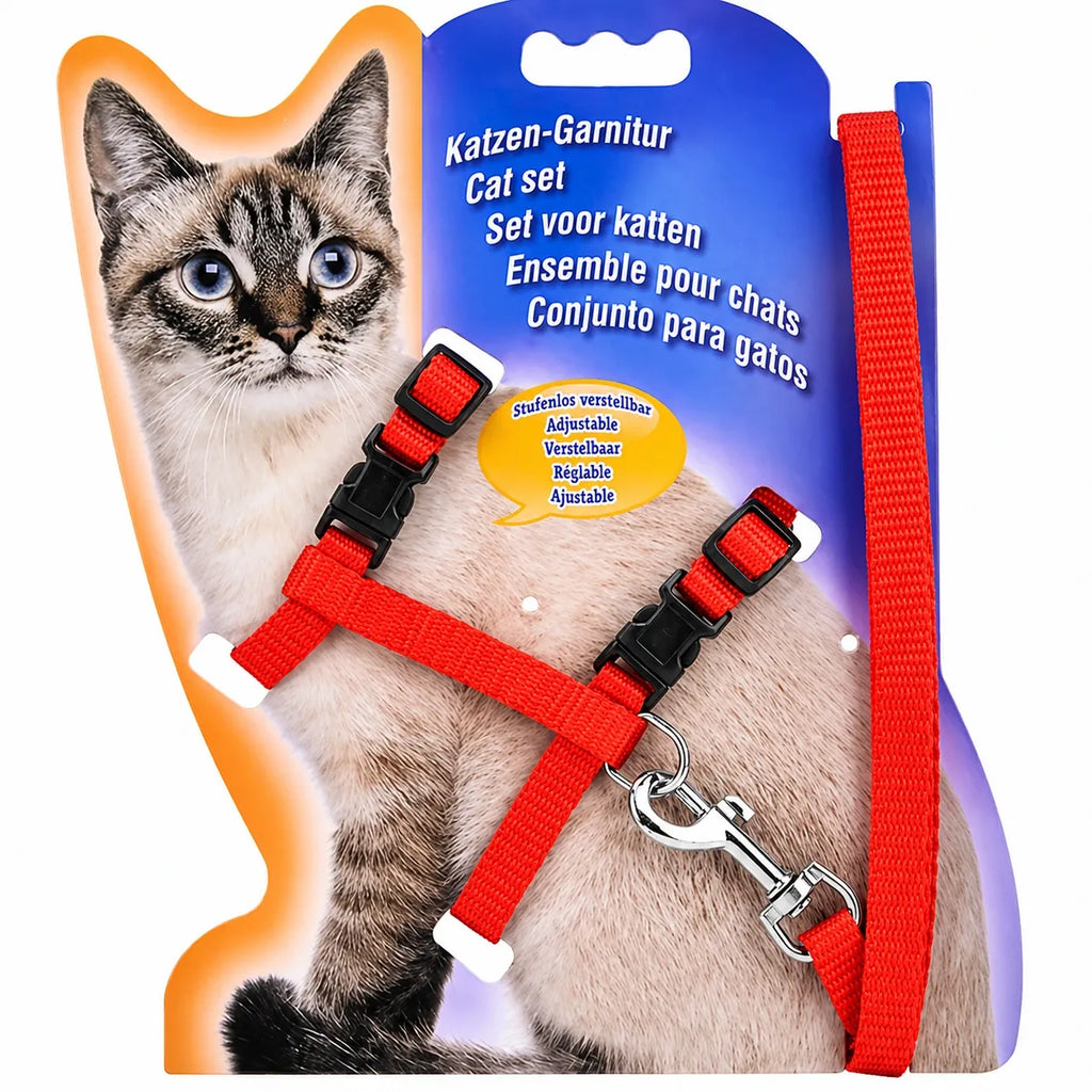Harnais chat nylon réglable - Ensemble laisse confortable