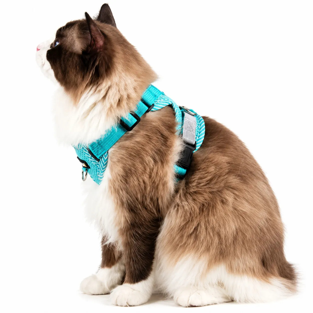 Harnais chat réfléchissant maille respirante - Laisse incluse