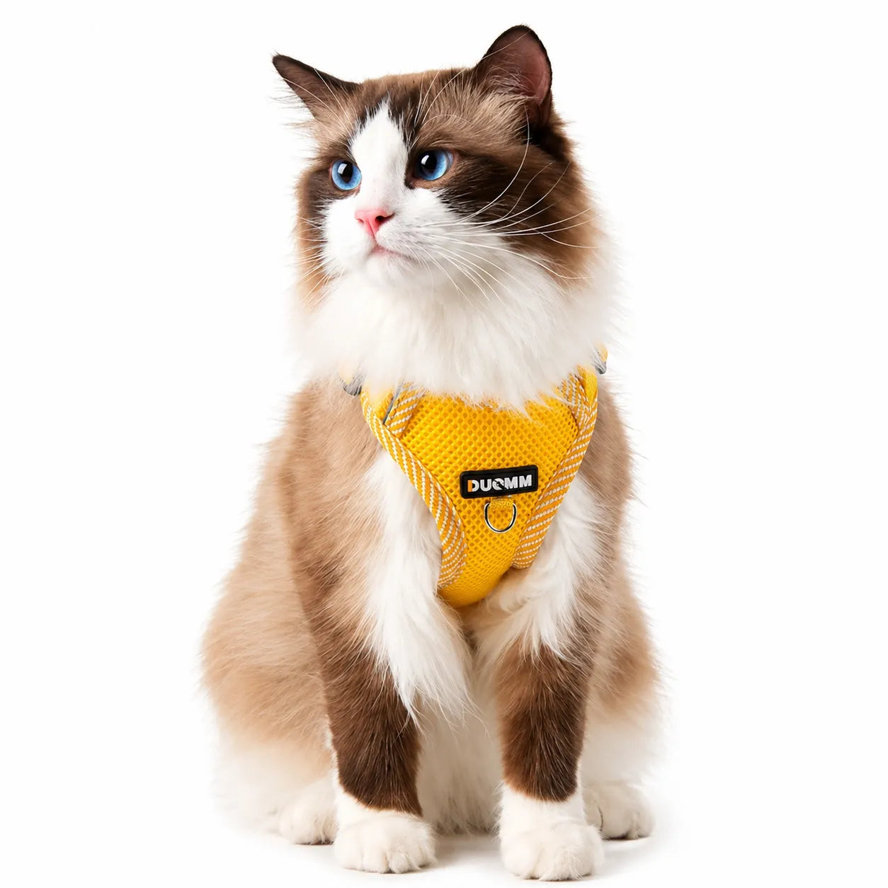 Harnais chat réfléchissant maille respirante - Laisse incluse