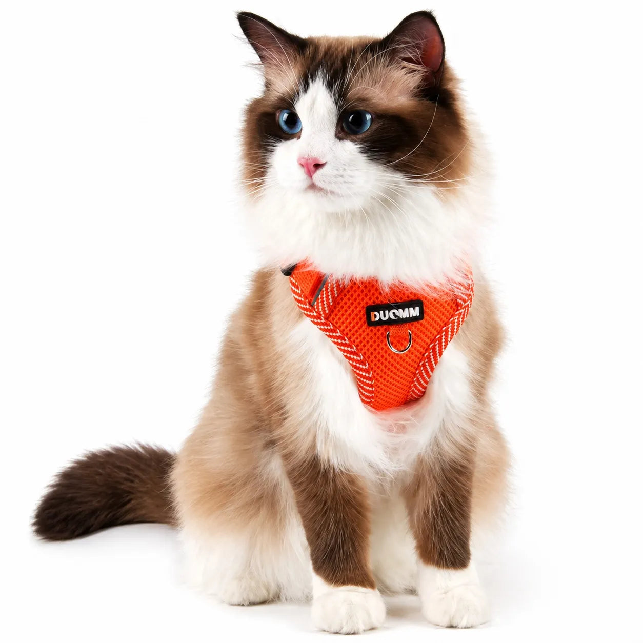 Harnais chat réfléchissant maille respirante - Laisse incluse