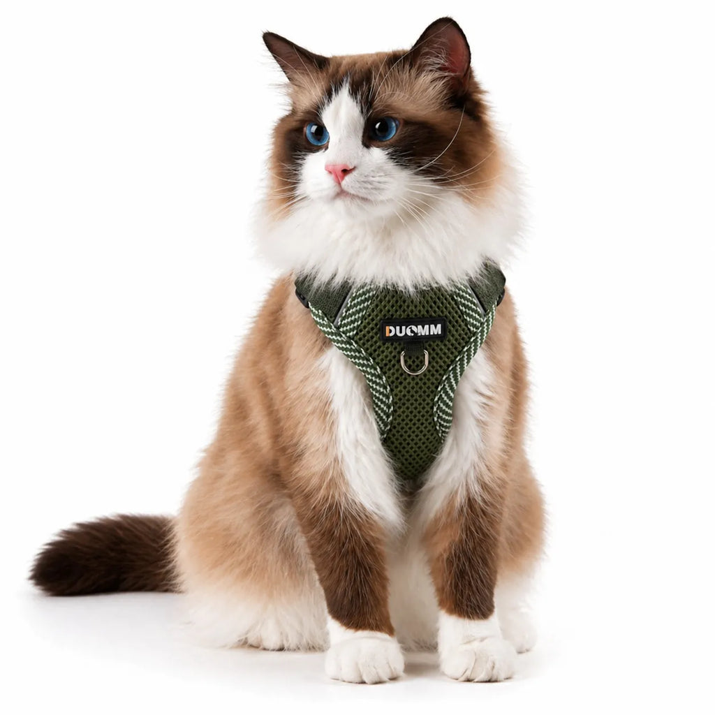 Harnais chat réfléchissant maille respirante - Laisse incluse