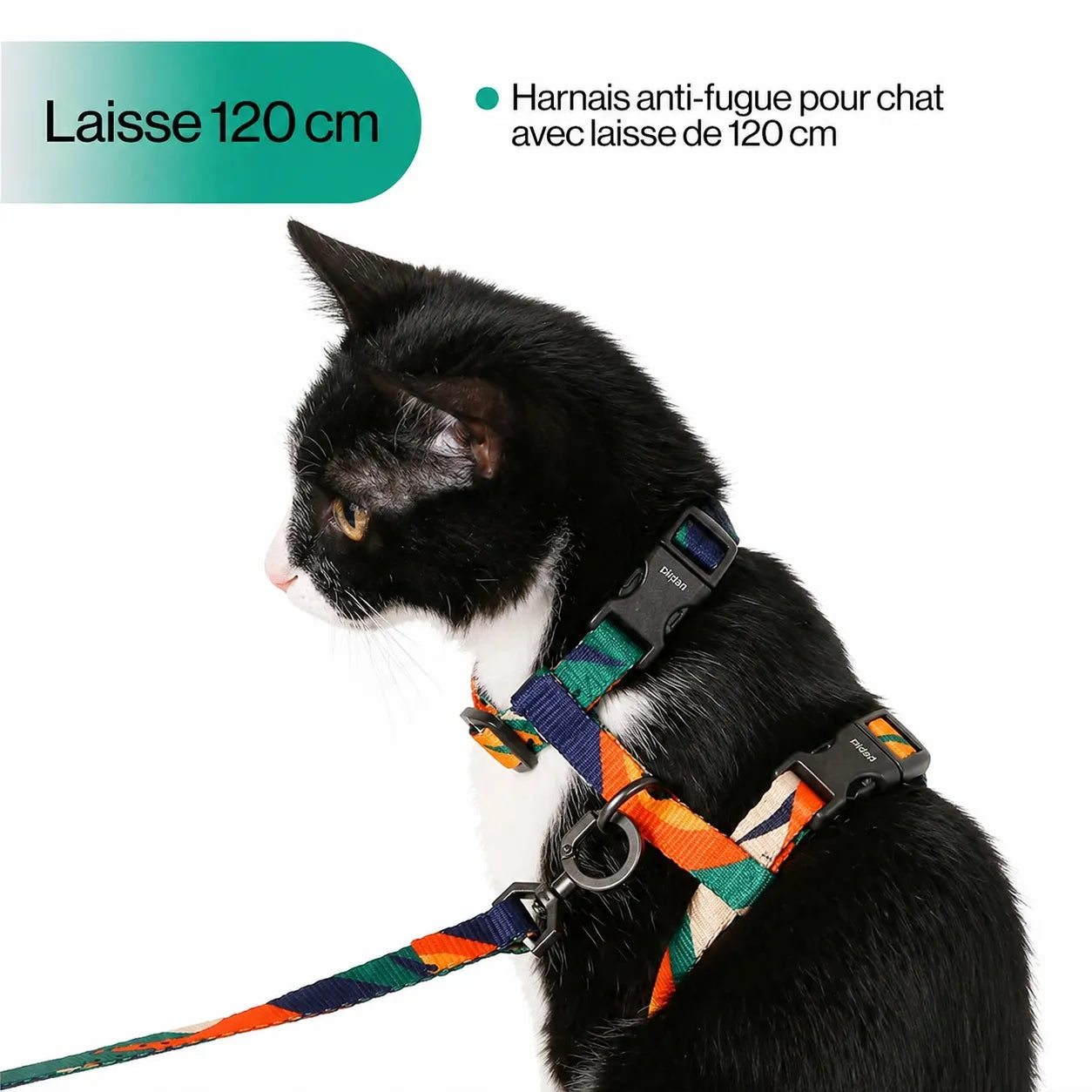 Harnais chat réglable anti-évasion - Laisse incluse 122 cm