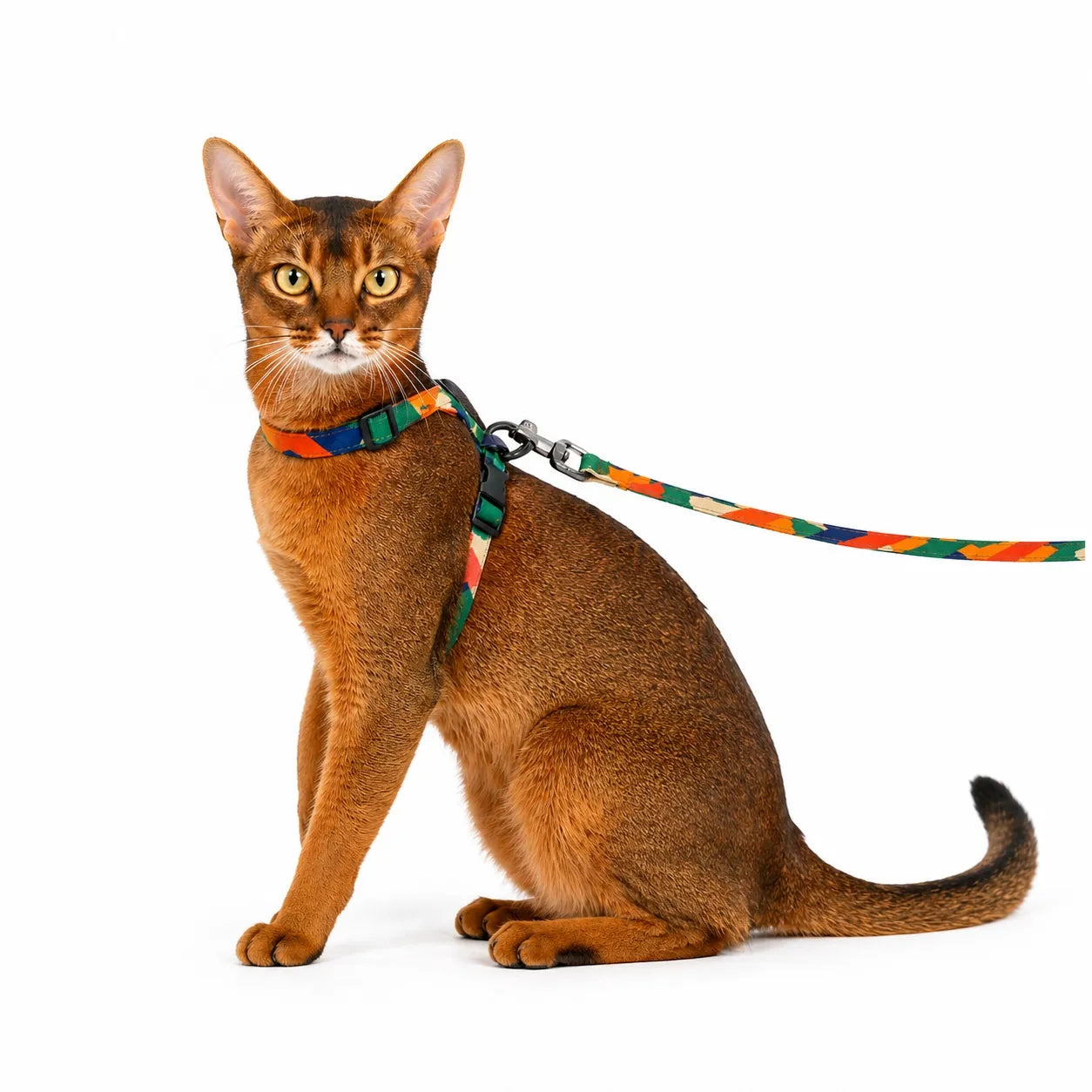 Harnais chat réglable anti-évasion - Laisse incluse 122 cm