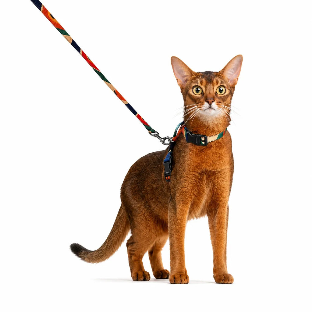 Harnais chat réglable anti-évasion - Laisse incluse 122 cm