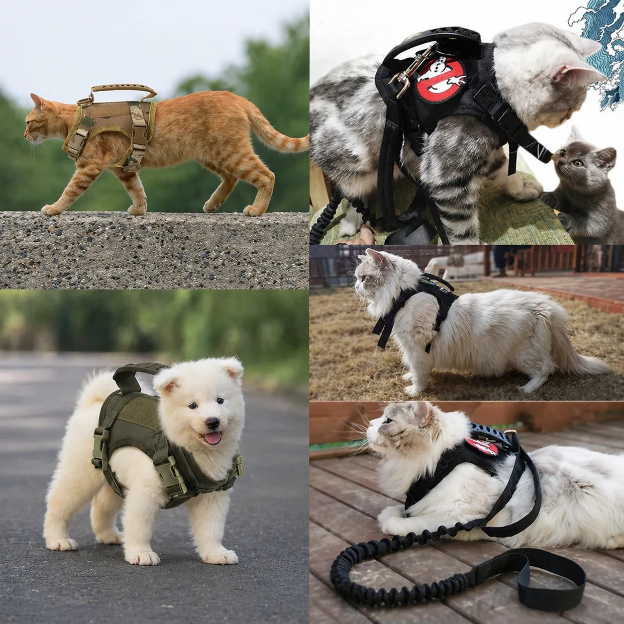 Harnais chat tactique réglable - Gilet sécurisé pour félin