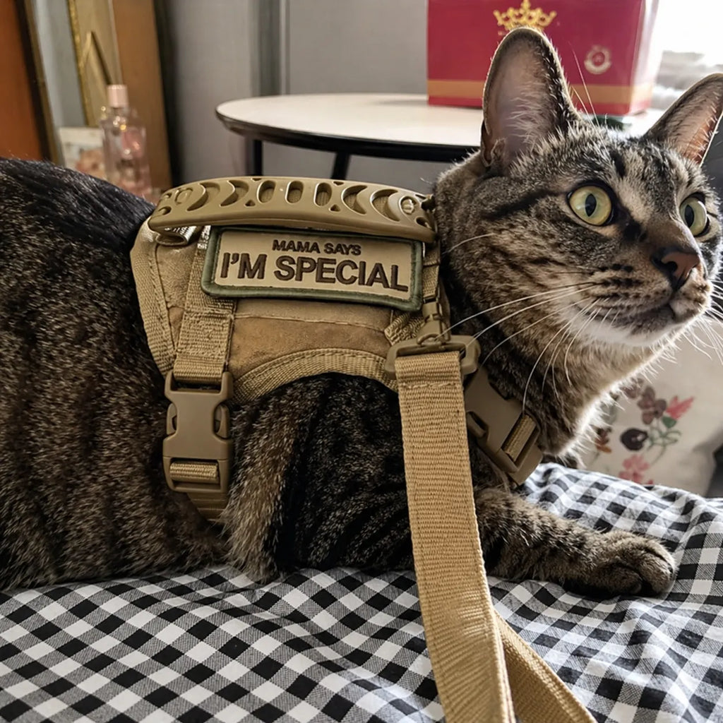 Harnais chat tactique réglable - Gilet sécurisé pour félin