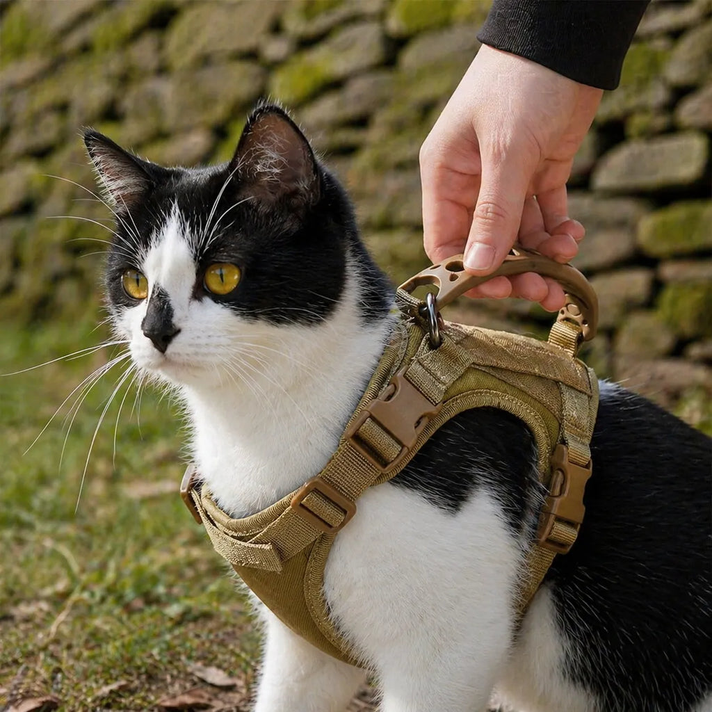 Harnais chat tactique réglable - Gilet sécurisé pour félin