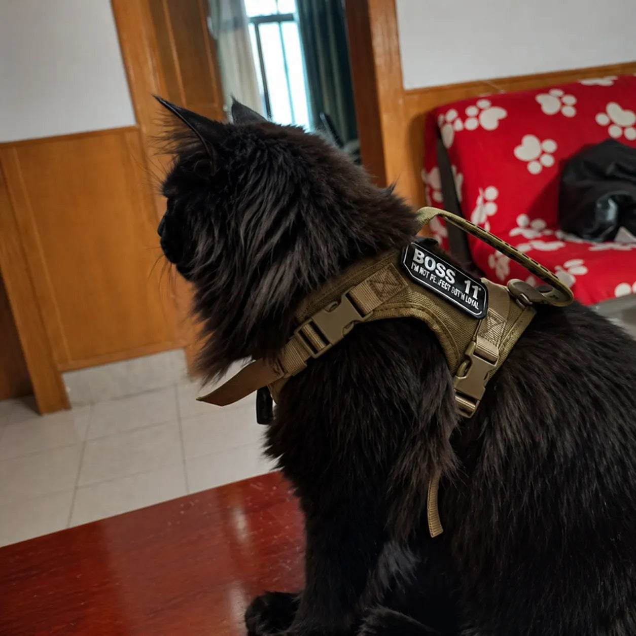 Harnais chat tactique réglable - Gilet sécurisé pour félin