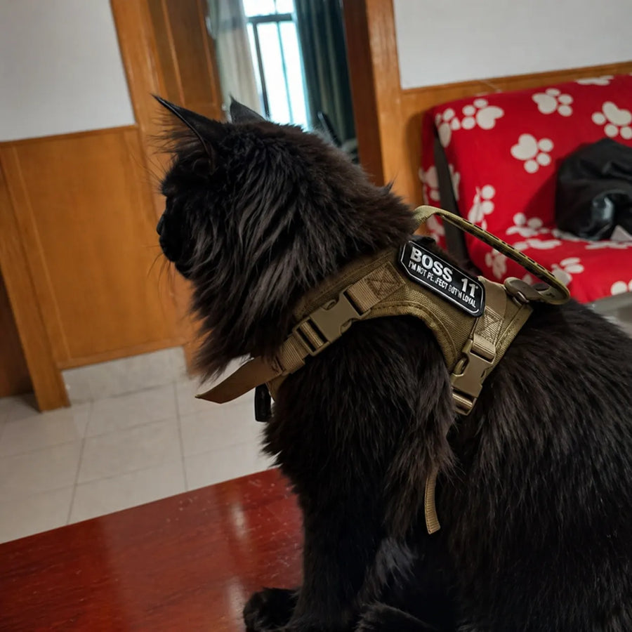 Harnais chat tactique réglable - Gilet sécurisé pour félin