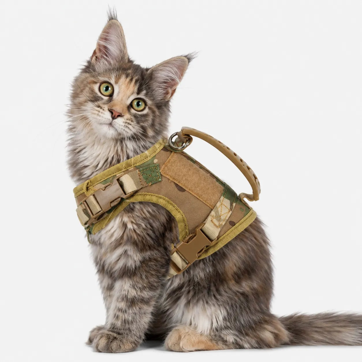 Harnais chat tactique réglable - Gilet sécurisé pour félin