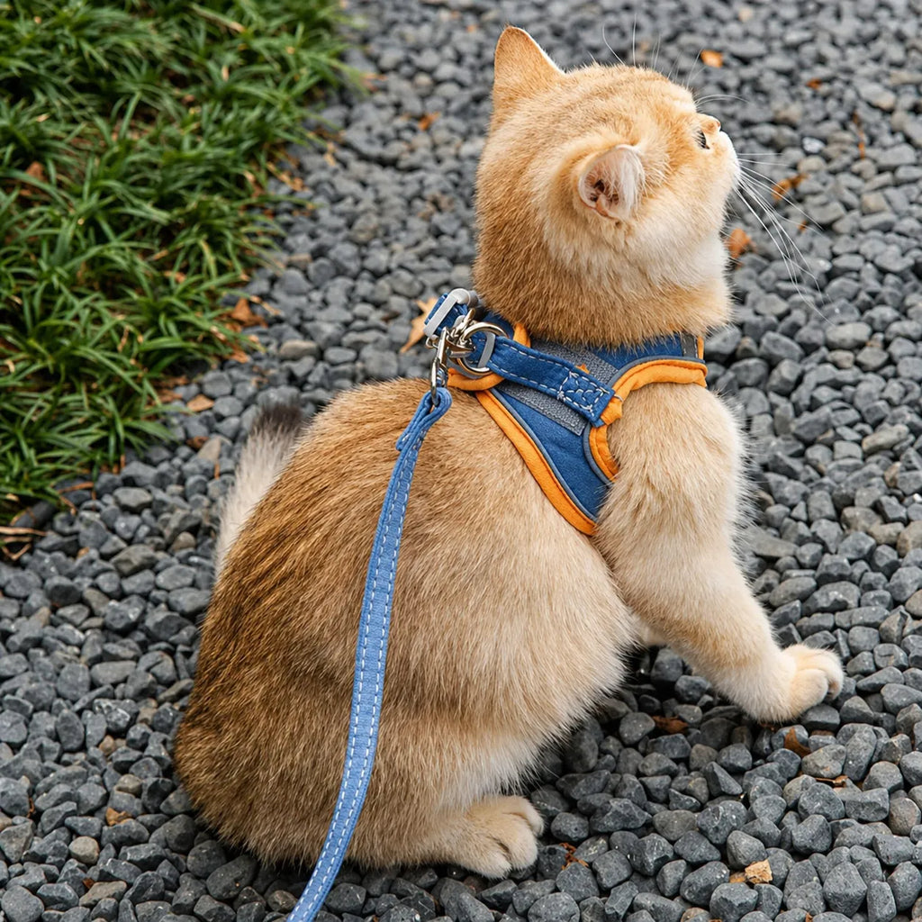 Harnais et laisse pour chat - Gilet suédé confort et sécurité