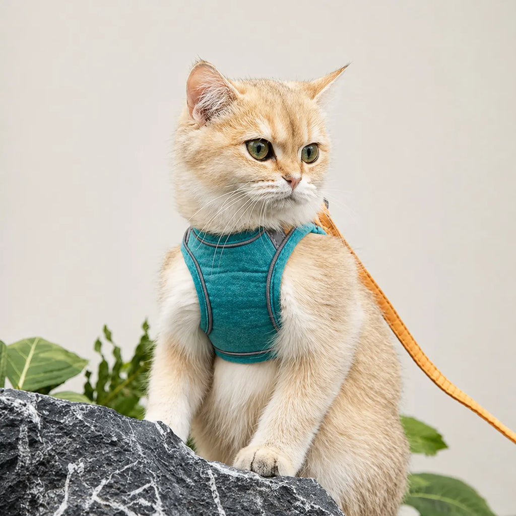Harnais et laisse pour chat - Gilet suédé confort et sécurité
