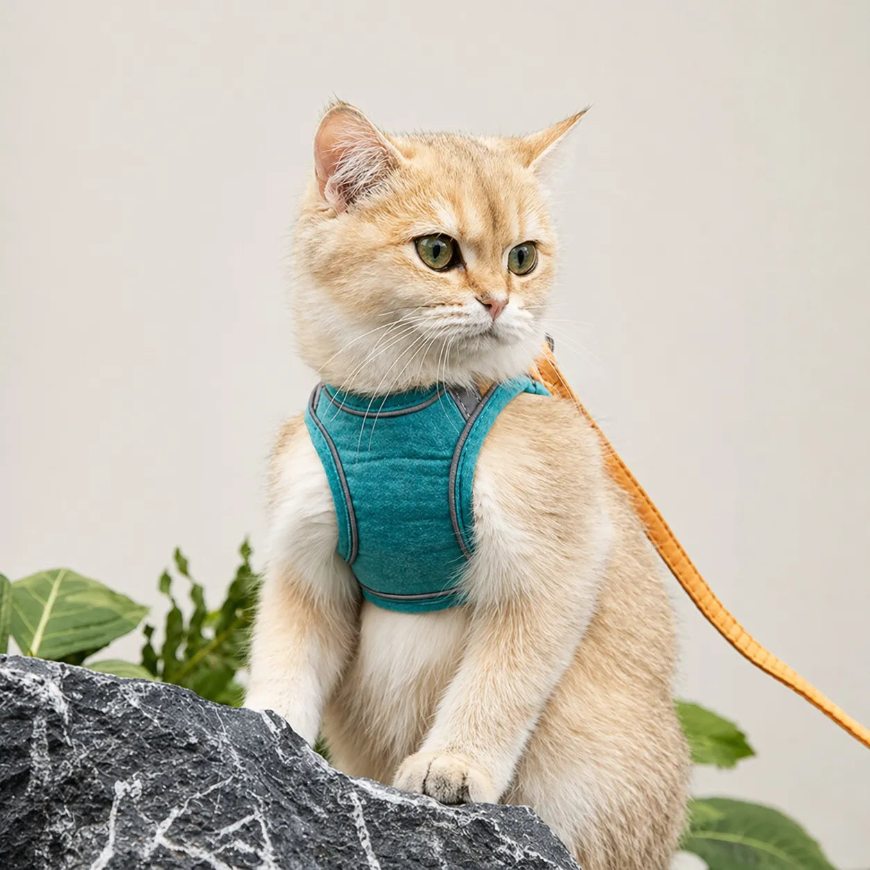 Harnais et laisse pour chat - Gilet suédé confort et sécurité