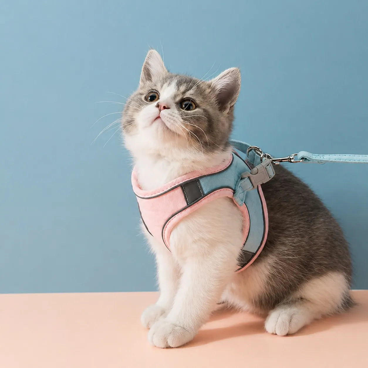 Harnais et laisse pour chat - Gilet suédé confort et sécurité
