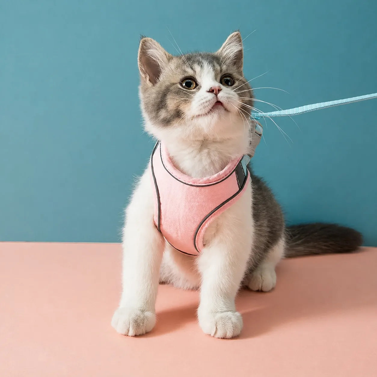 Harnais et laisse pour chat - Gilet suédé confort et sécurité