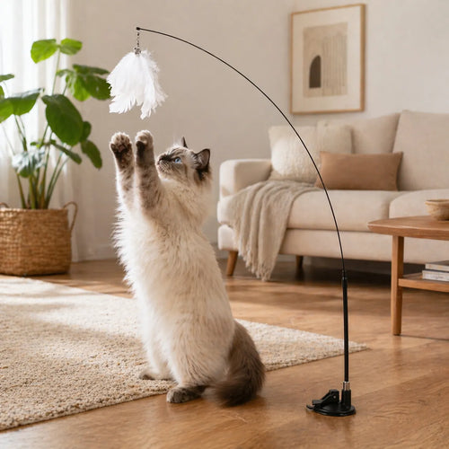 Jouets