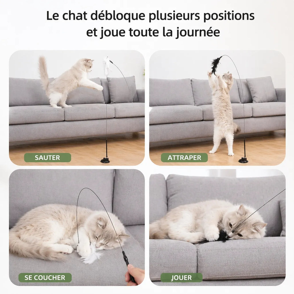 Jouet chat interactif baguette ventouse - Plumes naturelles