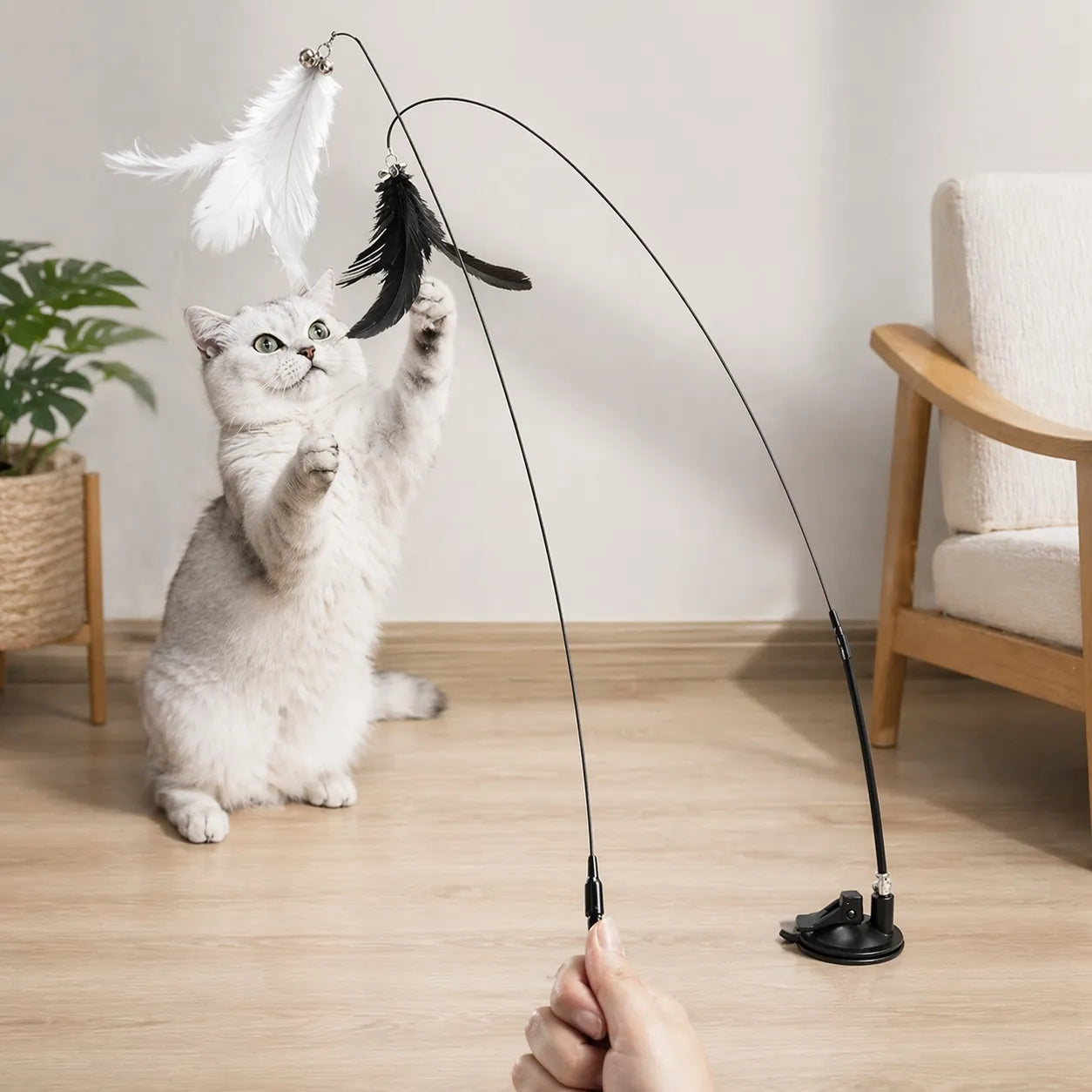 Jouet chat interactif baguette ventouse - Plumes naturelles