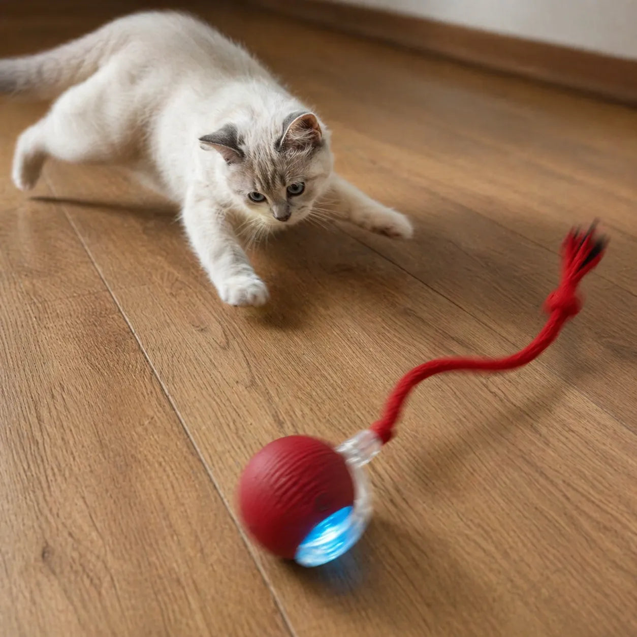 Jouet chat interactif - Balle roulante automatique silencieuse