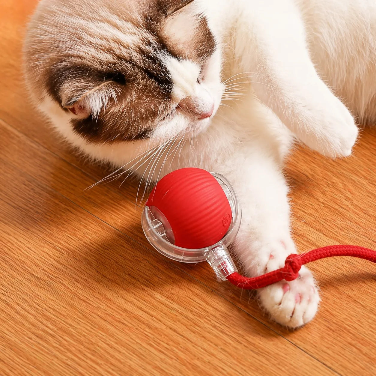 Jouet chat interactif - Balle roulante automatique silencieuse