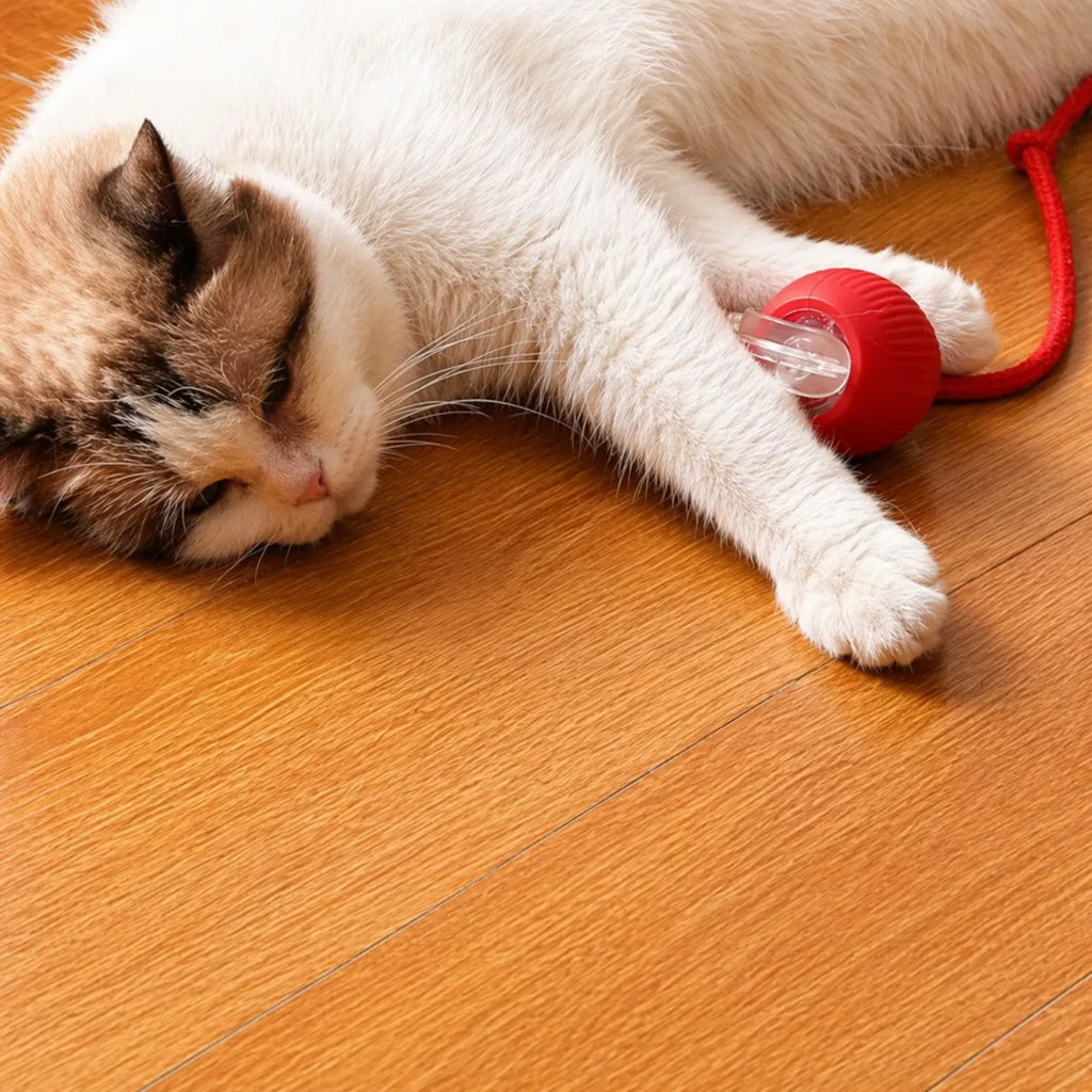 Jouet chat interactif - Balle roulante automatique silencieuse