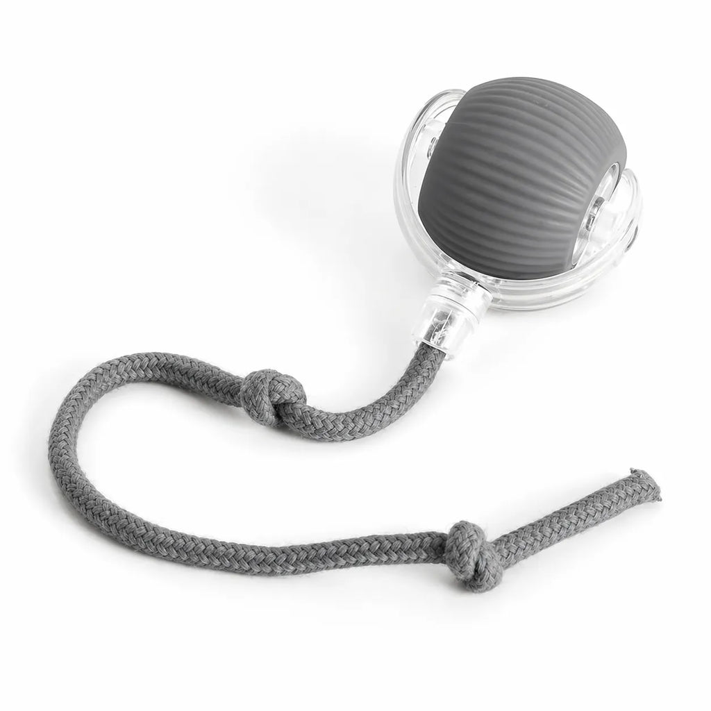 Jouet chat interactif - Balle roulante automatique silencieuse