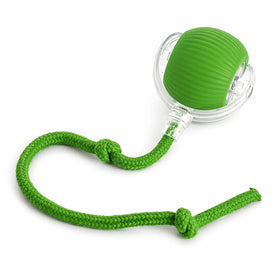 Vert