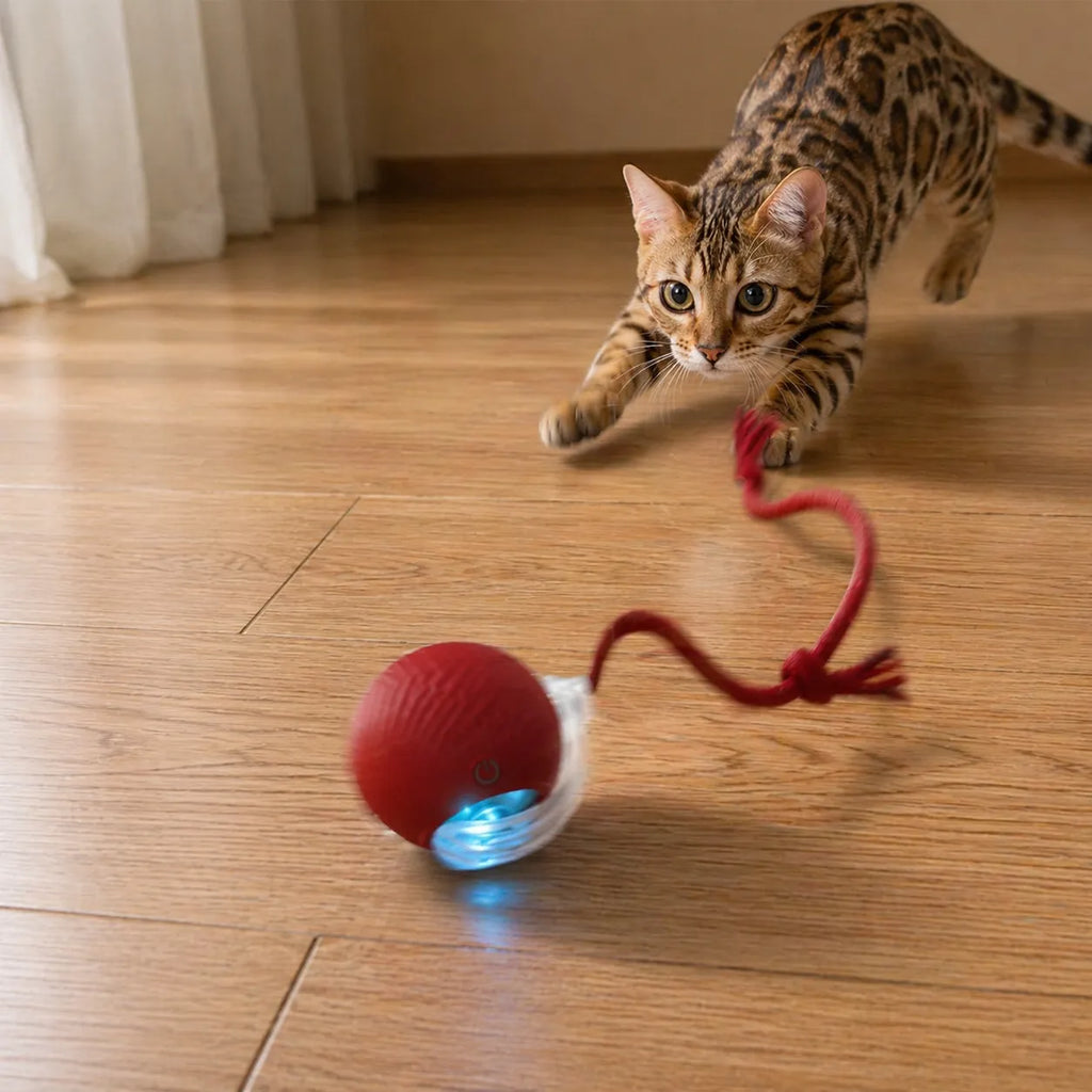 Jouet chat interactif - Balle roulante automatique silencieuse