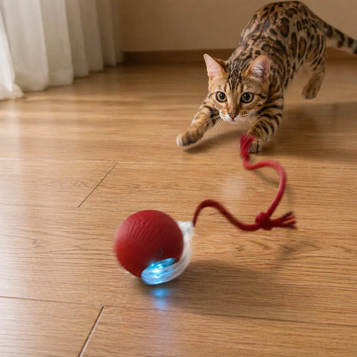 Jouet chat interactif - Balle roulante automatique silencieuse