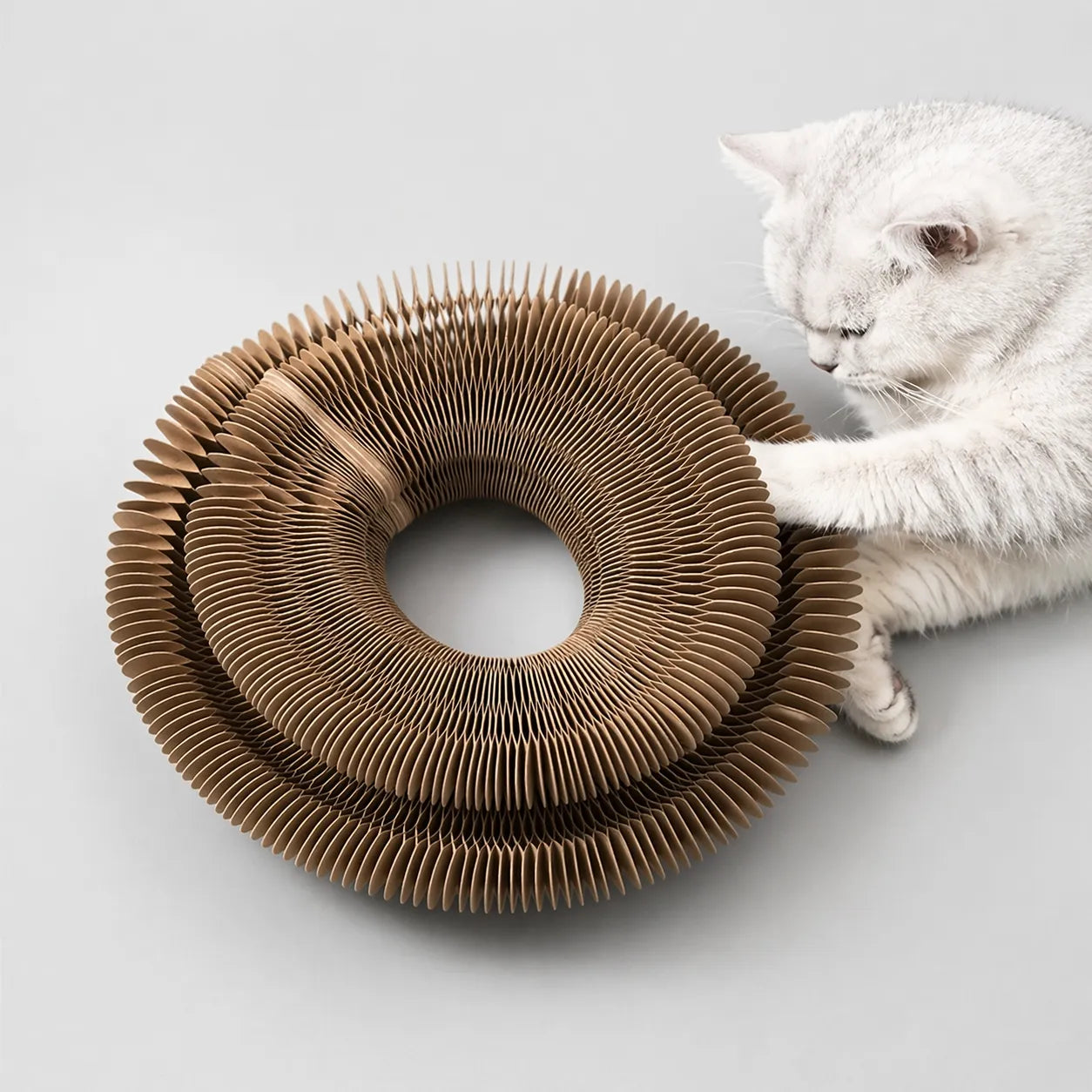 Jouet chat interactif grattoir 3 en 1 - Papier ondulé durable