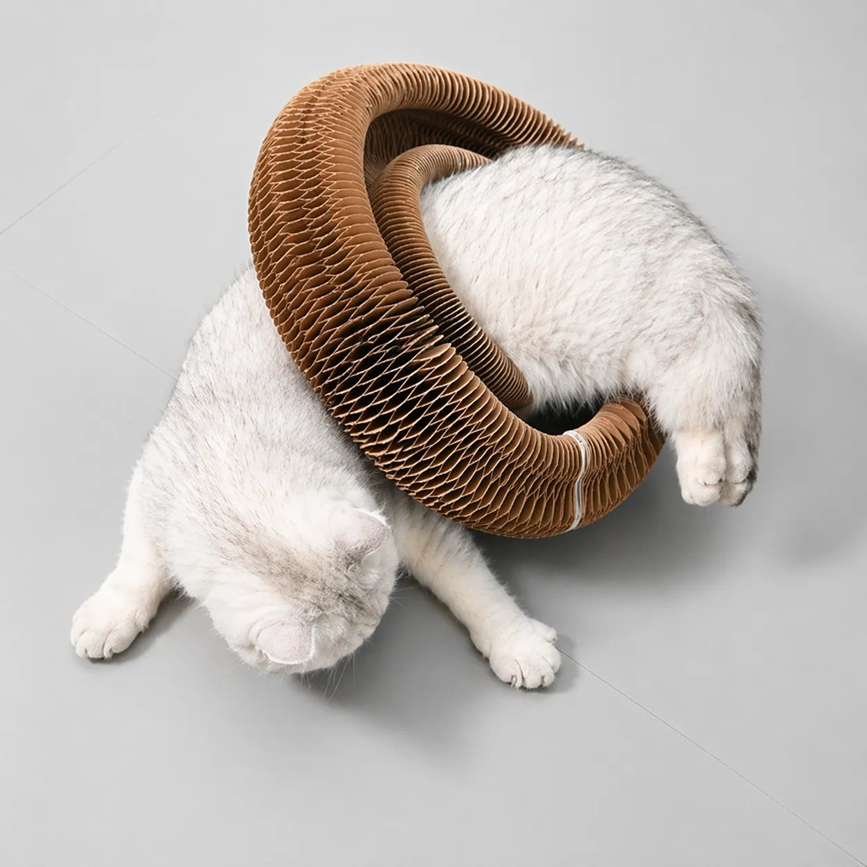 Jouet chat interactif grattoir 3 en 1 - Papier ondulé durable
