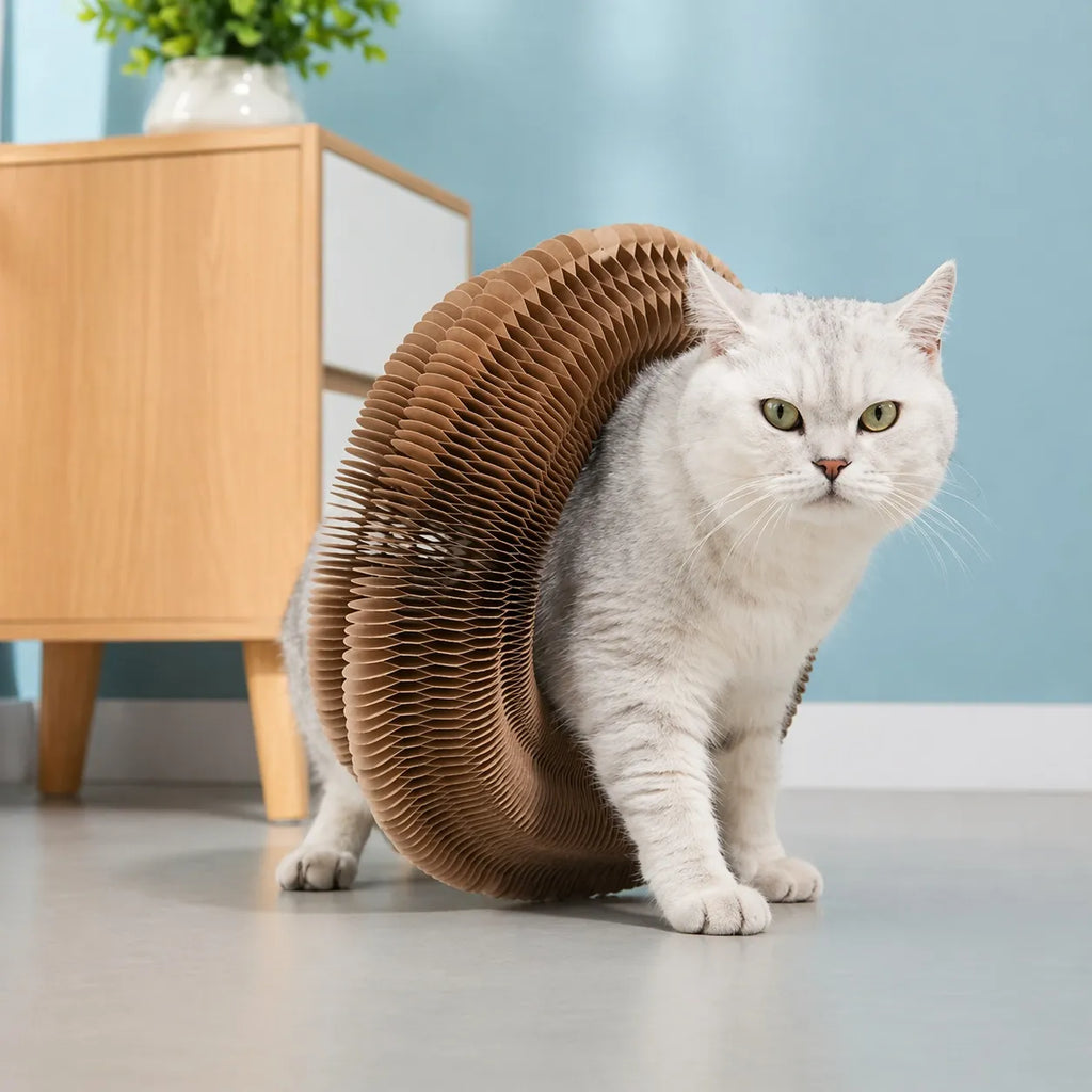 Jouet chat interactif grattoir 3 en 1 - Papier ondulé durable