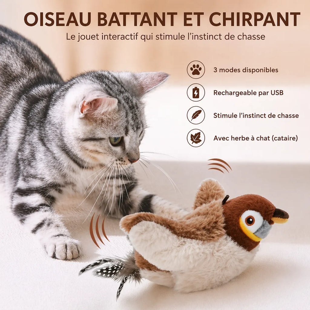 Jouet chat interactif oiseau battant | Rechargeable USB