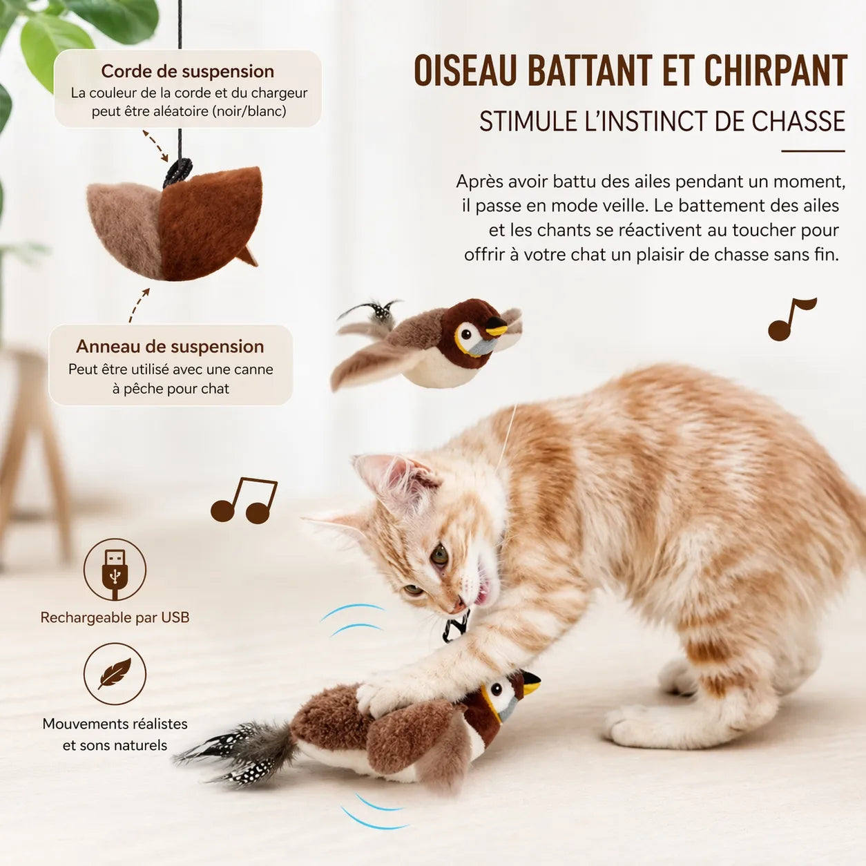 Jouet chat interactif oiseau battant | Rechargeable USB