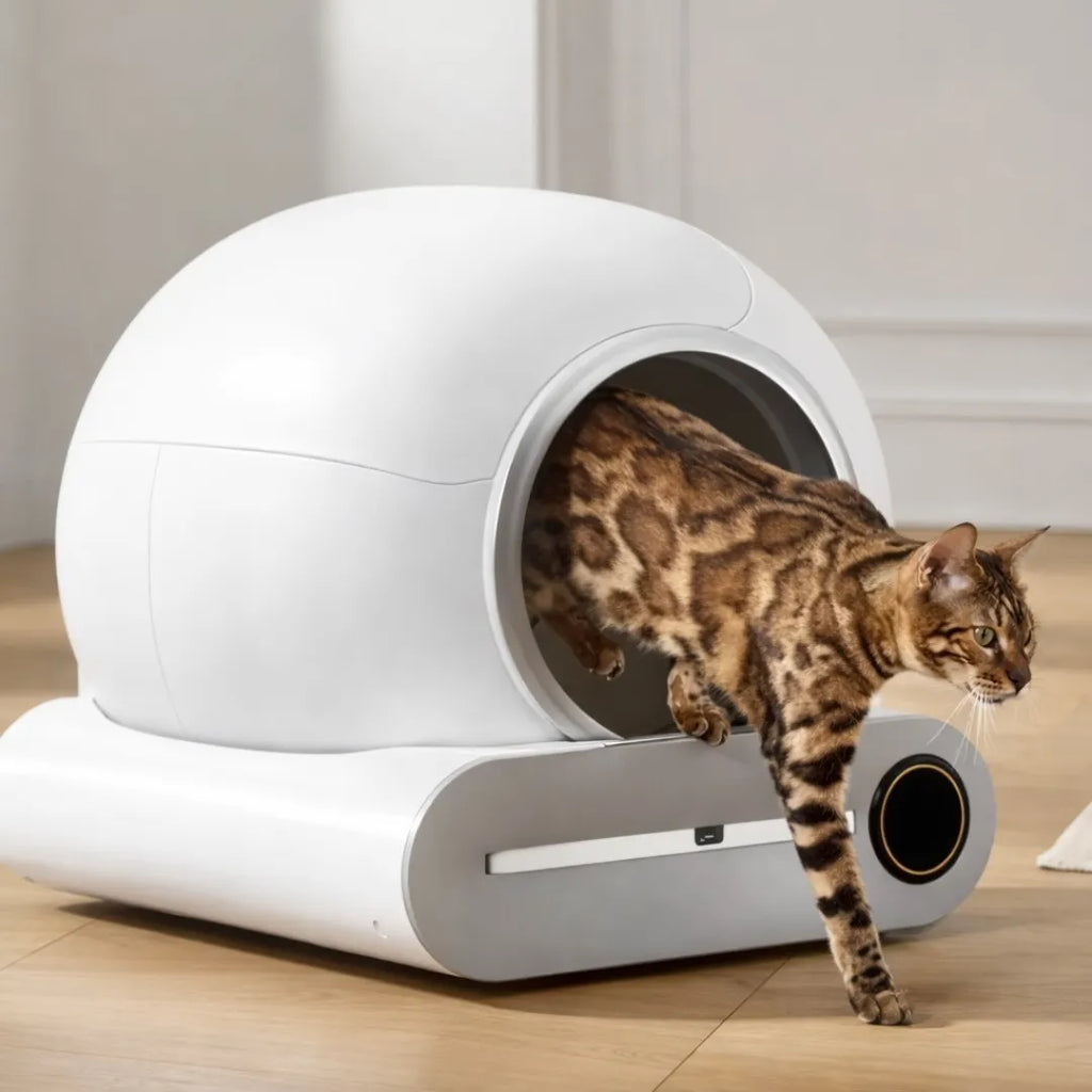 Litière auto nettoyante chat connecté - WiFi et hygiène optimale